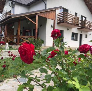 Plai Dobrogean in Greci