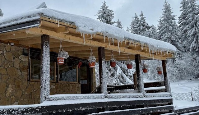 Planinska kuca ANDJELA 2 in Bajina Basta