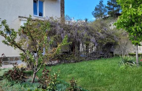 Plavi Horizonti