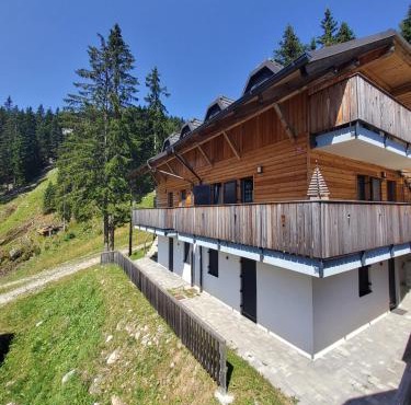 Primorka Golte in Mozirje