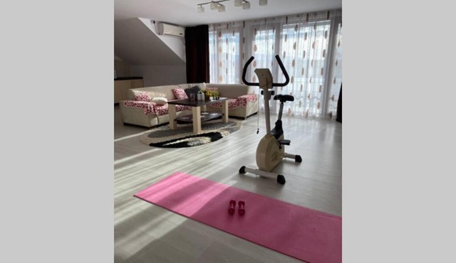 Private Loft Apartment in Sudrigiul
