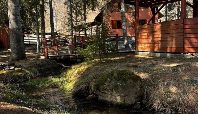 Private vacation home in the middle of the Harghita mountains surrounded by in Vărșag