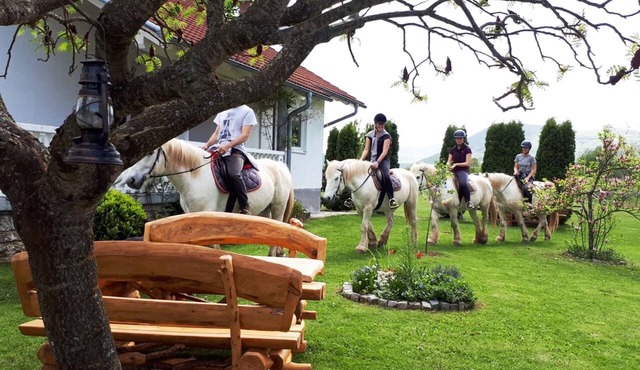 Ranch Terra