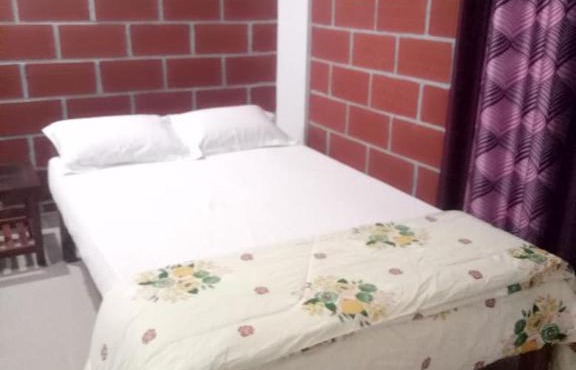 Red Castle Homestay Kuduremukha in Kalasa
