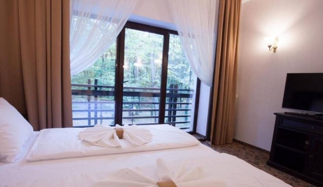 Rediu Hotel & Restaurant in Botosani