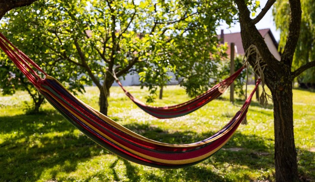 Relaxation in Slavonia with sauna, nature and outdoor fun