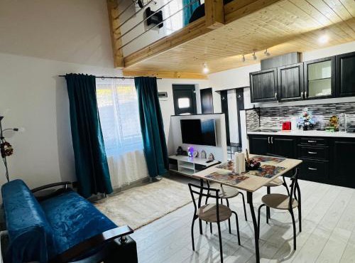 Reny's Studio Apartments -Hiperbara in Livezeni