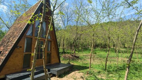 Retreat în padure in Buchin