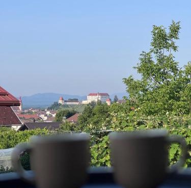 Rezidenca Vista Lux in Ptuj