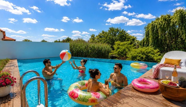 Riverside Villa - Private Pool & BBQ in Danube Delta in Murighiol