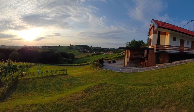 Romantic and family getaway home with jacuzzi, hobbit sauna, terrace, and vineyard views.