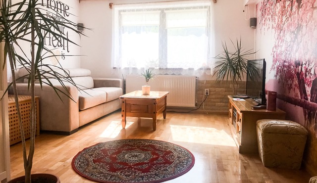 Romantic Studio in the heart of Transylvania in Richiș