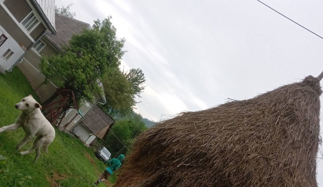 Rural Holiday Transylvania in Rosia Montana