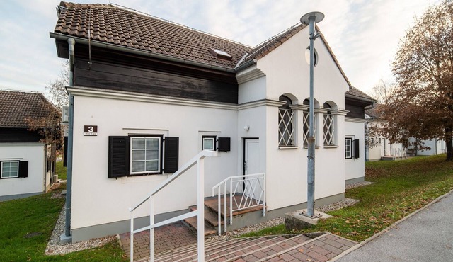 Rustic and Radiant Retreat Apartments with Terrace - Classic One Bedroom Apartment with Terrace in Podcetrtek