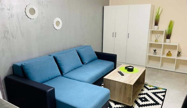 S&S Apartment Large studio apartment in TIMISOARA