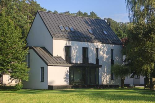 Sam's - Forest & Spring in Tirgu Lapus