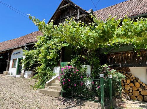 Saschiz 130/Lodging and Glamping in Saschiz
