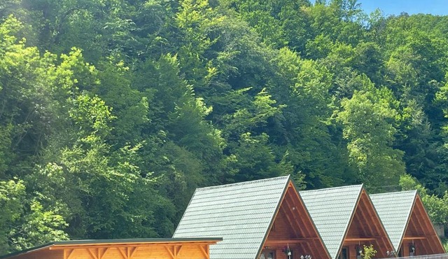 Satul de Vacanța Carla in Stremt
