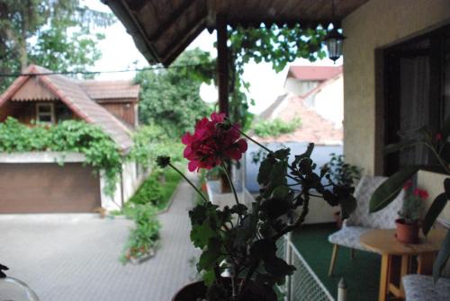 Saxon house&garden - half villa in Sibiu
