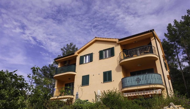 Seafront apartment Soline with Seaview