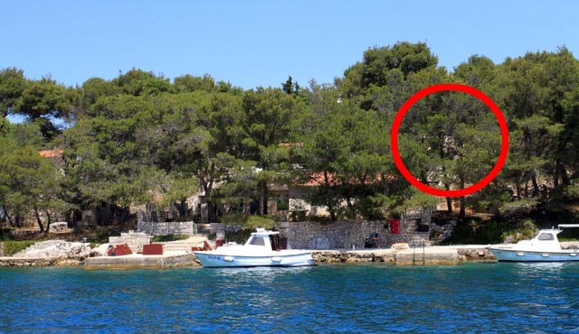 Secluded fisherman's cottage Lavdara, Dugi otok - 8155