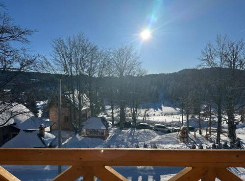 Sekulic Apartman Tara in Bajina Basta