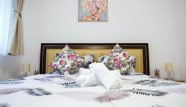 Serena's Apartment in Hunedoara