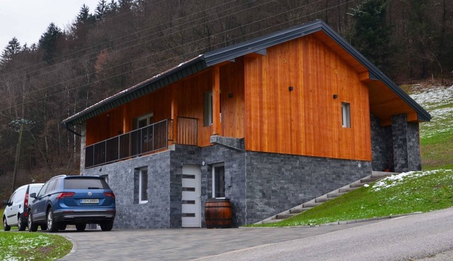 Serene and Radiant Retreat Apartments - One Bedroom Apartment in Laško