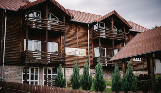 Silver Villa in Baile Tusnad