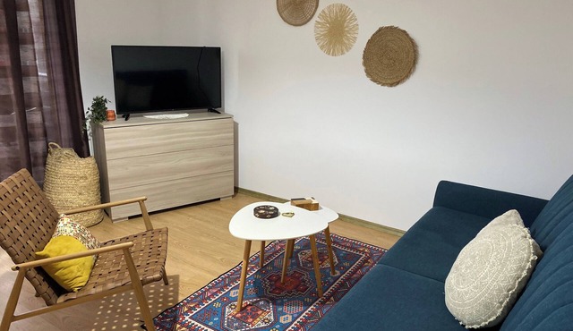 Sleep4-FreeP-MountainView-Balcony-PetFriendly in Brasov