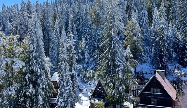 Snowfall Luxury Suites Jahorina in Jahorina