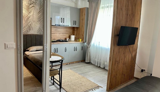 Sofia Residence Studio Cetate in Tirgu Neamt
