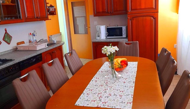 Spacious and Sunny Apartment on Island Rab in Rab