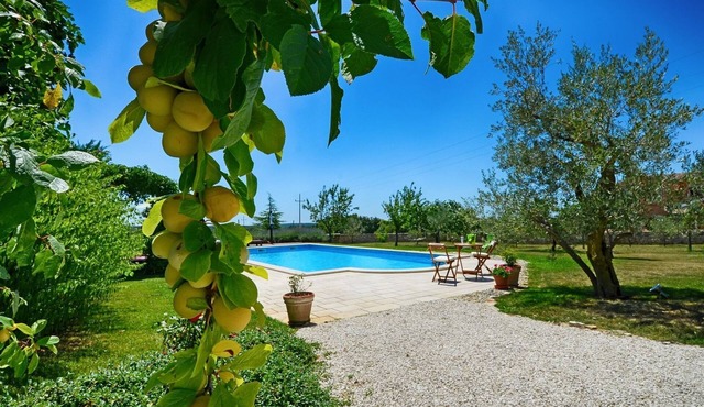 Spacious Villa in Kringa Croatia with Private Pool in Tinjan
