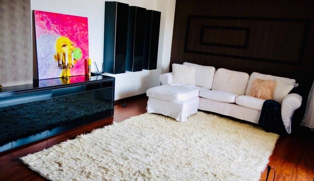 Special Big Apartm with Art SB11 in Timisoara