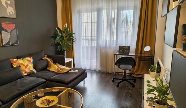 Student Grey Apartment w/Full ammenities. Spacious 2 room Balcony in Timisoara
