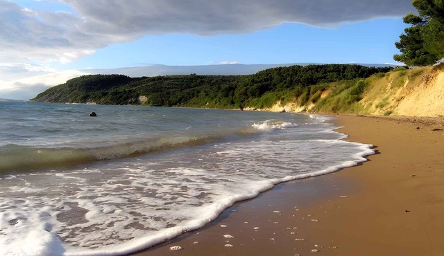 Studio 80 m from the sandy beach