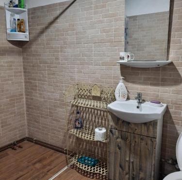 Studio cu bucatarie , baie , scara interioara , etaj cu dormitor openspace , curte cu grill, terasa in Borlova