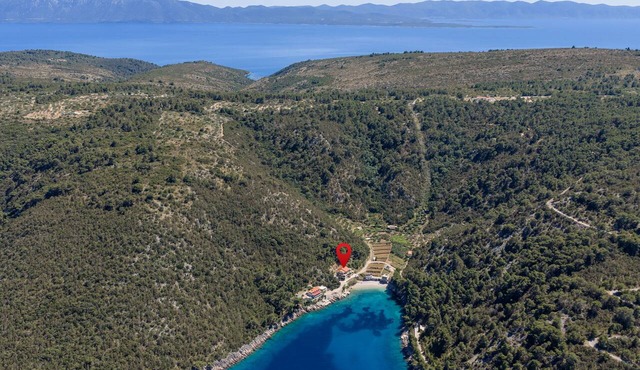 Studio flat near beach Cove Mala Pogorila, Hvar (AS-25261-c)