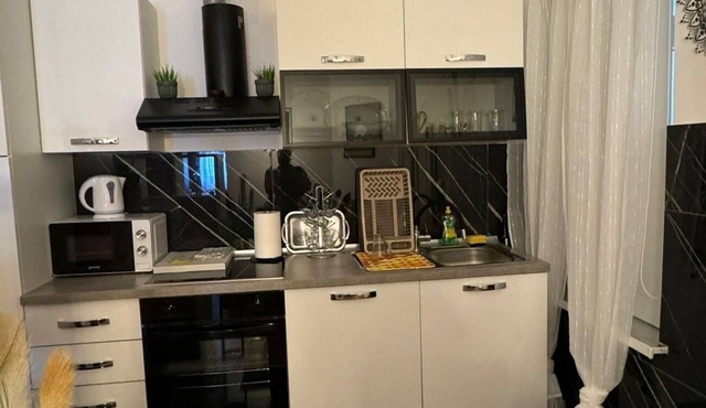 Studio flat with air-conditioning Zagreb (AS-23344-a)