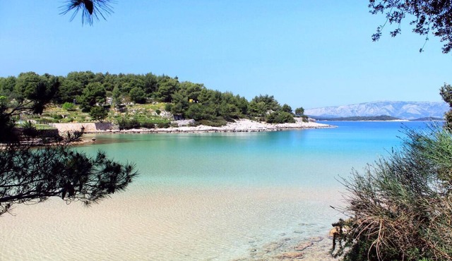 Studio flat with balcony and sea view Jelsa, Hvar (AS-8798-a) in Jelsa
