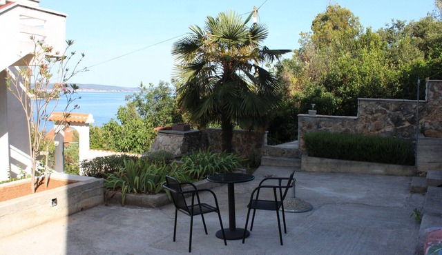 Studio flat with terrace and sea view Kali, Ugljan (AS-8202-b)