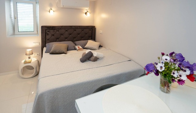 Studio flat with terrace and sea view Poljana, Ugljan (AS-8419-b)
