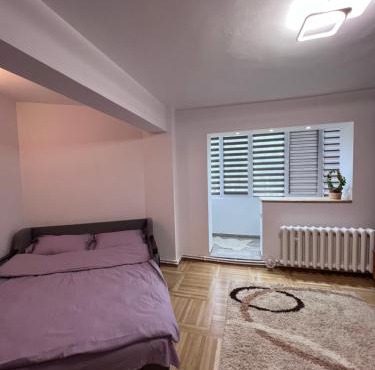 Studio in the city center in Nehoiu