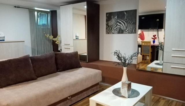 Studio Suncokret in Soko Banja