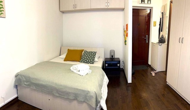 Studio Victoriei - Central Location with AC in București
