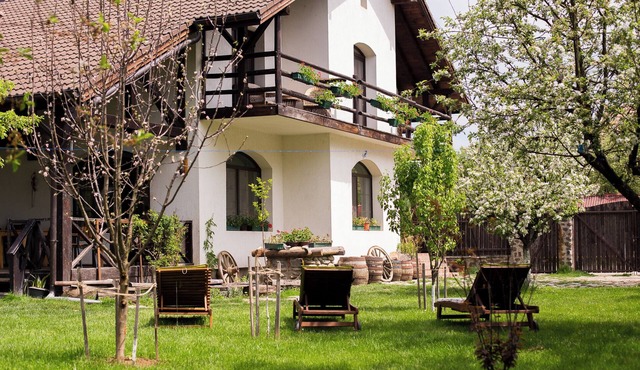 Sunny rooms and soft beds, ideal for lazy afternoons and silent nights. in Cârțișoara