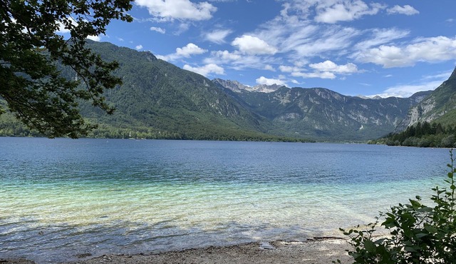 Sunrise Bohinj Apartment, just 5 km to the Bohinj lake and Vogel ski resort! in Radovljica