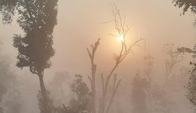 Sunrise Homestay, Nagarahole in Kutta