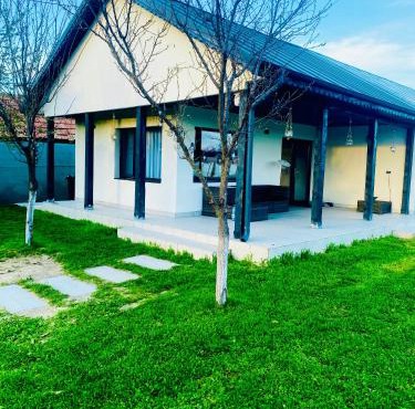 Tacchini's Home in Plosca